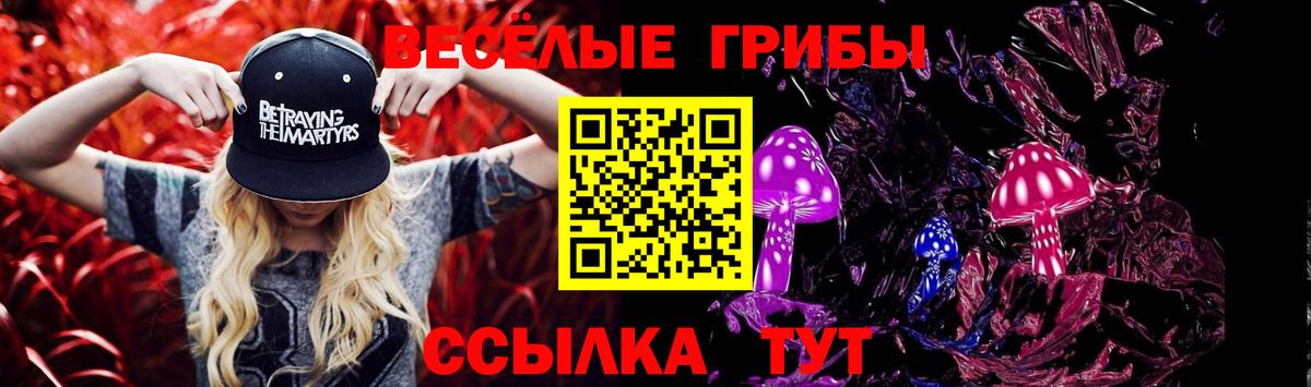 Нововоронеж  Галлюциногенные грибы Psilocybine cubensis  Вход с VPN  Галлюциногенные грибы ЛСД 
